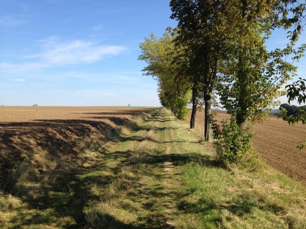 Auf dem Finnewanderweg