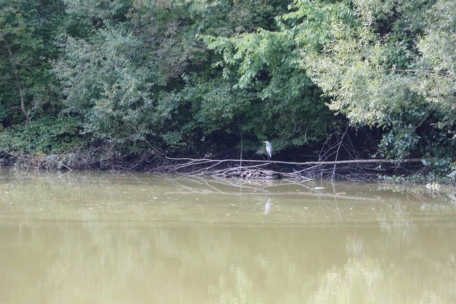 Am Düsteroder Teich