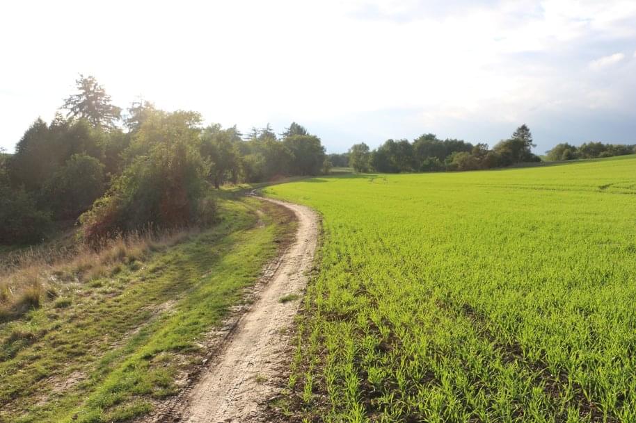 Auf dem Rückweg nach Bad Langensalza