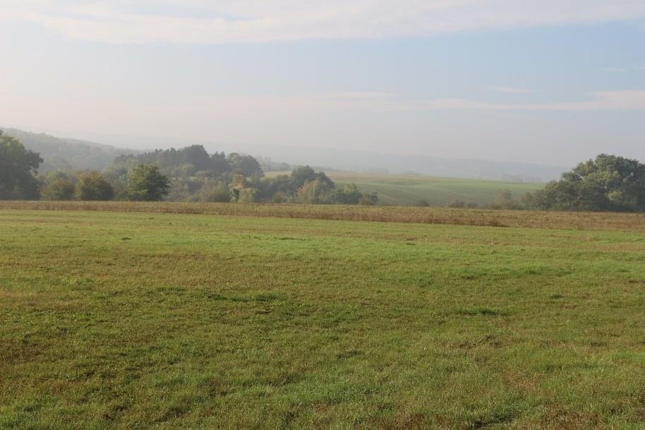 Auf dem Höhenweg nach Zimmern