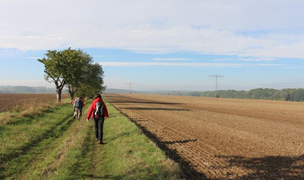 Wanderweg zum Hainich
